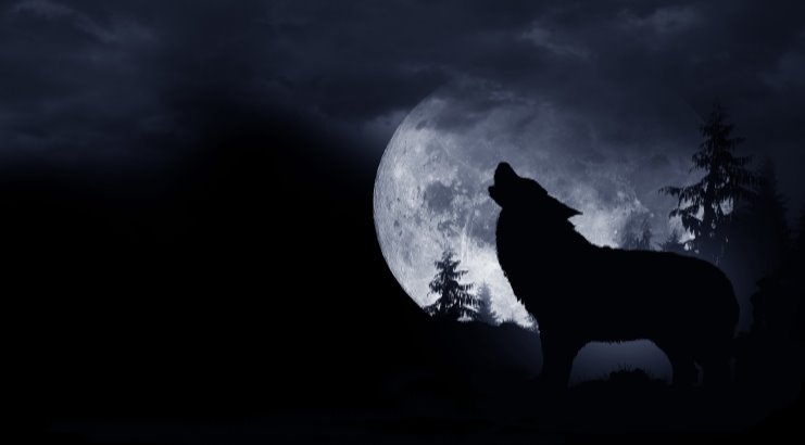LEO & FULL “WOLF MOON” CEREMONY