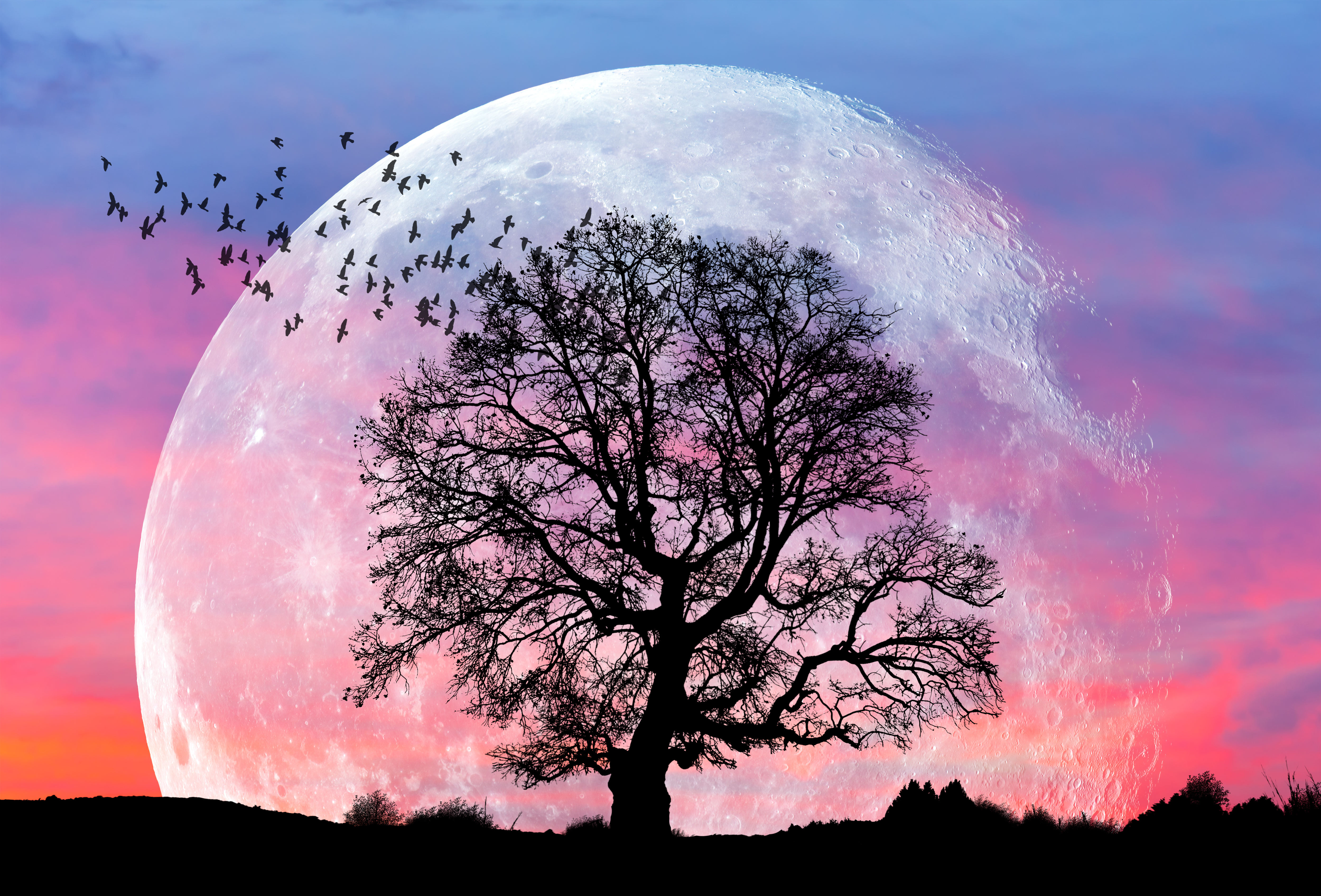 Rare Super Full Moon in Taurus