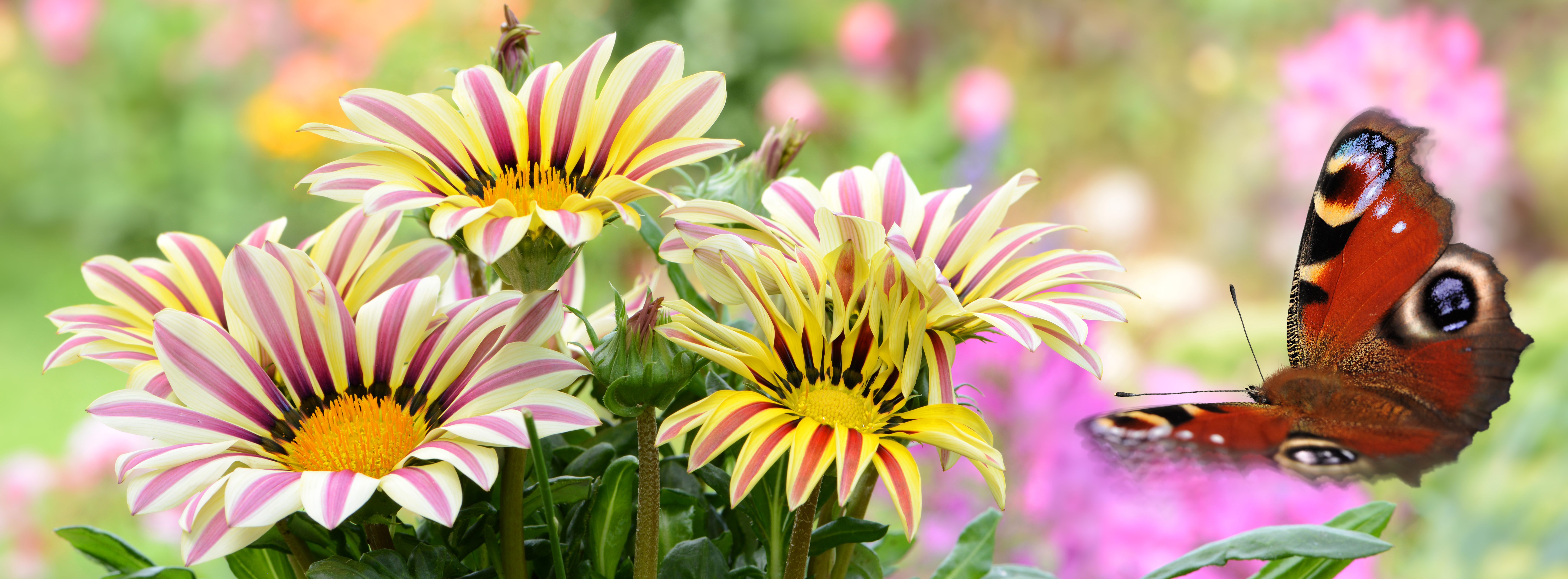 Spring Equinox & the Aries Sun