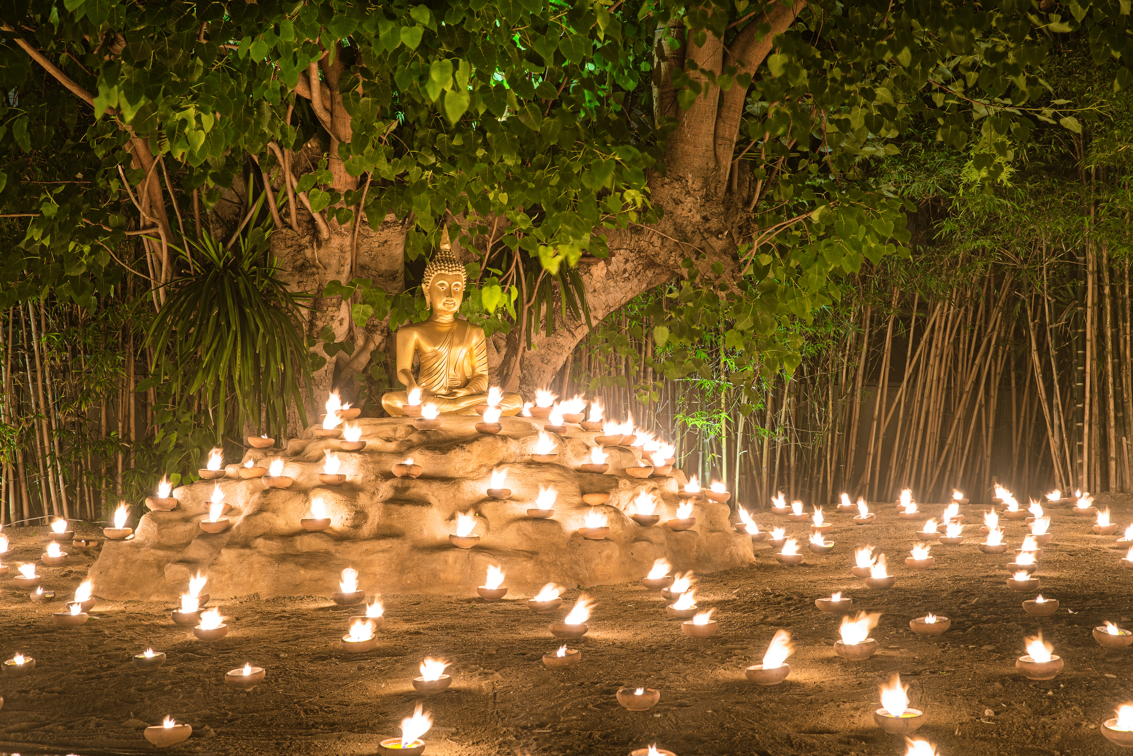 Buddha & The Scorpio Full Moon