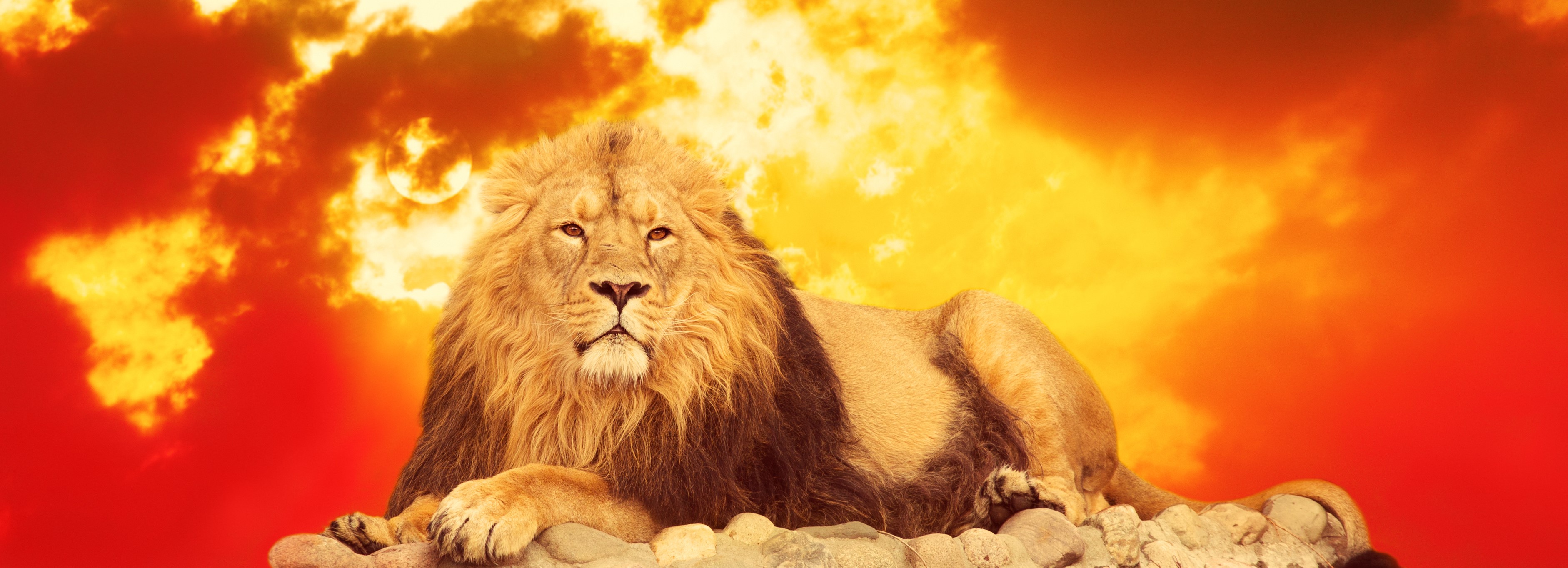Heart Consciousness & the Leo New Moon