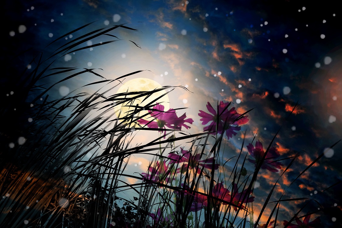 Partnership & The Full Moon in Libra